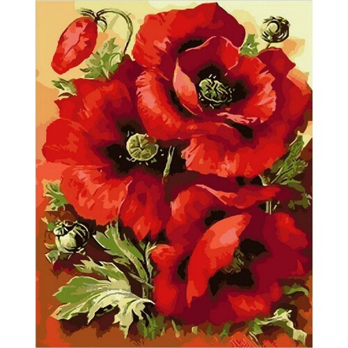 

Картина по номерам Dreamtoys Алые маки 40 x 50 см Dreamtoys BGL-DTS-362