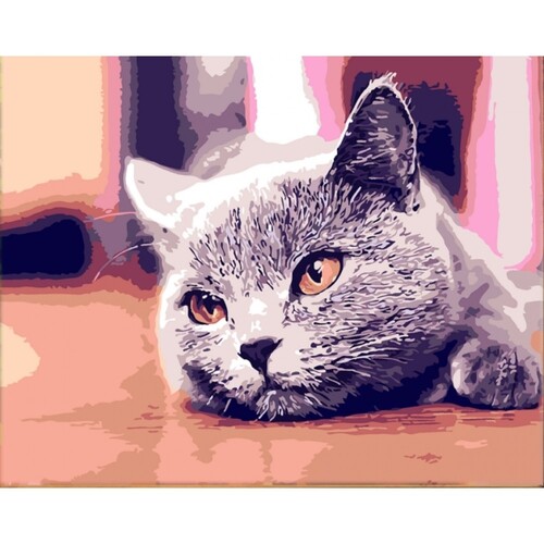

Картина по номерам Dreamtoys Любимый питомец 40 x 50 см Dreamtoys BGL-DTS-437