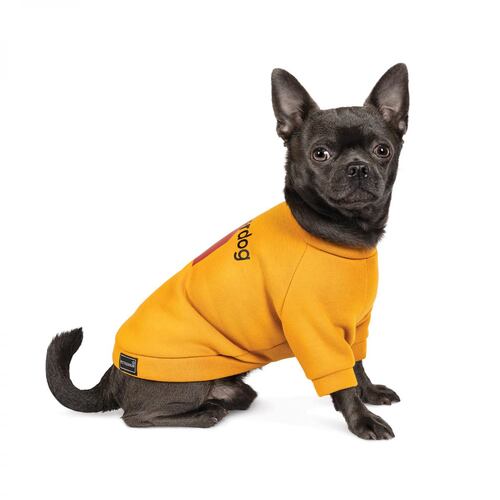 

Толстовка для собак оранжевая Pet Fashion SUPERDOG XS2 Pet Fashion BGL-PF-1158