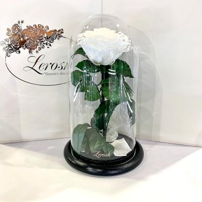 

Белая роза в колбе Lerosh - Premium 27 см (SKL15-279562)