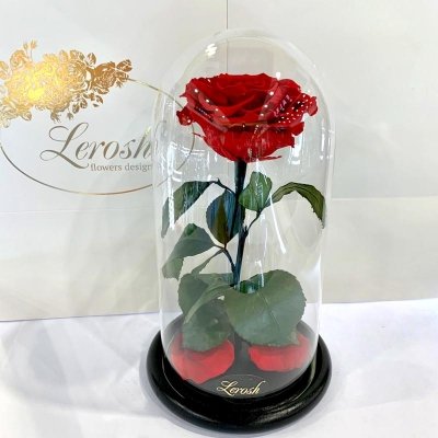 

Красная роза в колбе Lerosh - Premium 27 см (SKL15-279559)