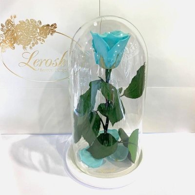 

Бирюзовая роза в колбе Lerosh - Classic 27 см (SKL15-279566)