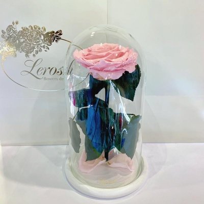 

Розовая роза в колбе Lerosh - Premium 27 см (SKL15-279573)