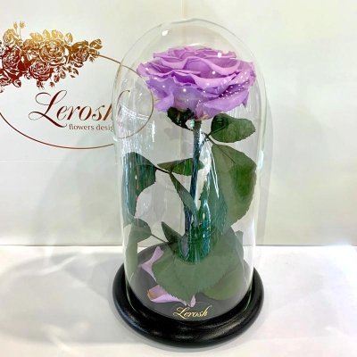 

Лиловая роза в колбе Lerosh - Premium 27 см (SKL15-279563)