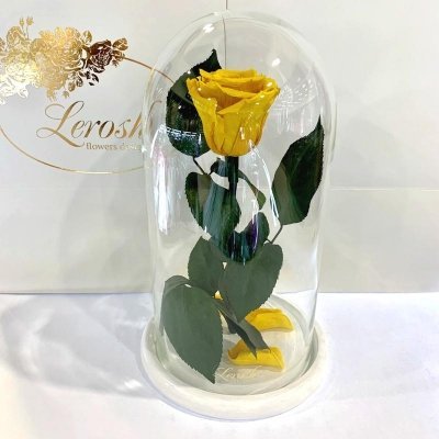 

Желтая роза в колбе Lerosh - Classic 27 см (SKL15-279580)