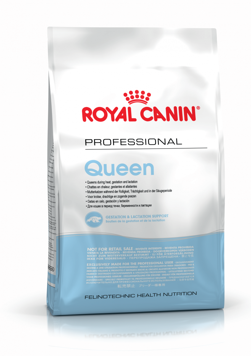 

Сухой корм для кошек Royal Canin Queen 4 кг (2570040)