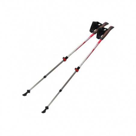 

Палки для скандинавской ходьбы Tramp Compact TRR-004