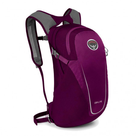 

Рюкзак Osprey Daylite 13 Eggplant Purple