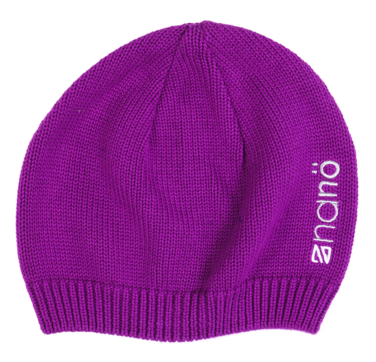 

Демисезонная шапка NANO F16TUT200-Dahlia фиолетовый (F16TUT200-Dahlia-2/4x)