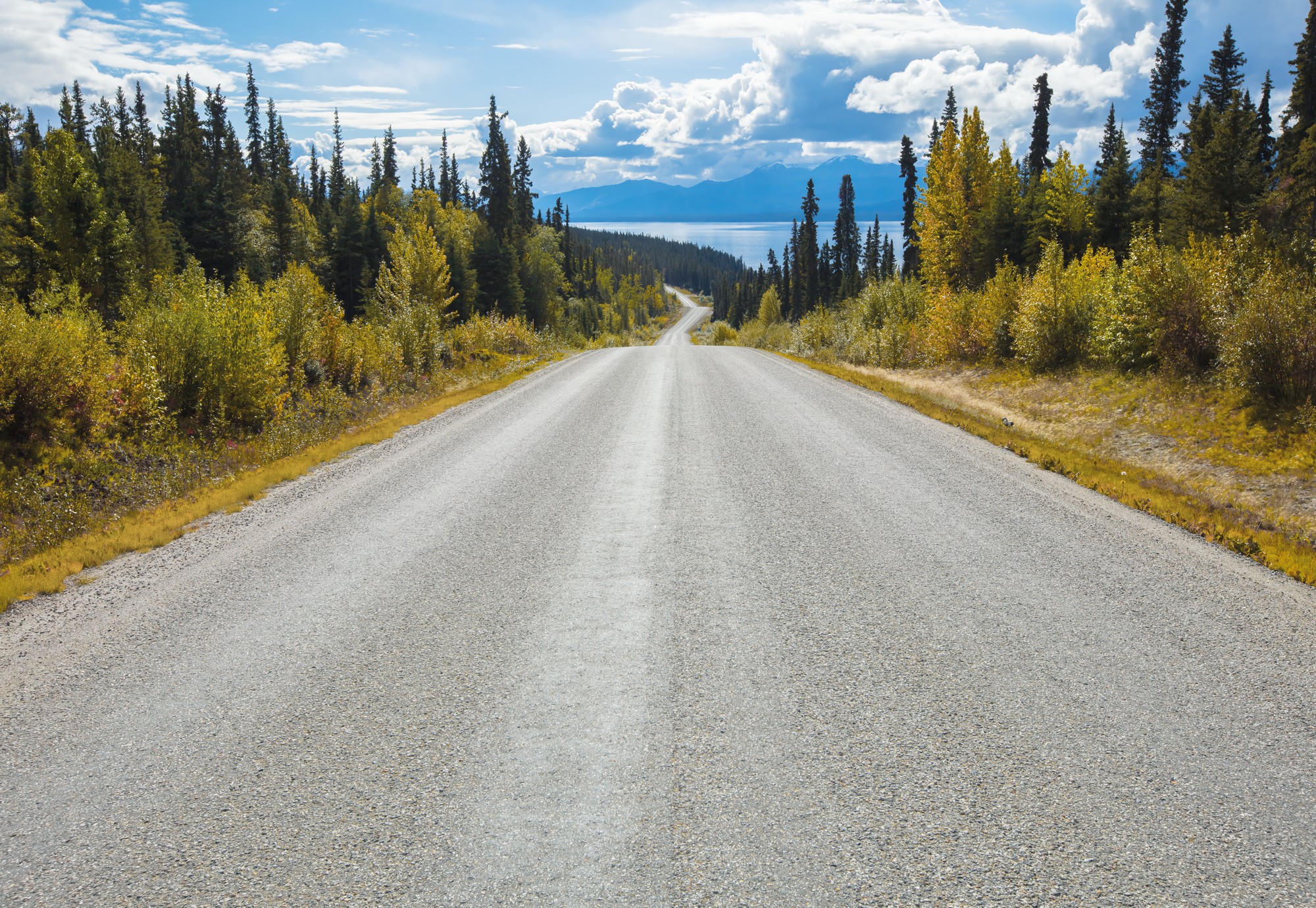 

Фотообои бумажные Komar Atlin Road (Серая дорога NG) 368х254 см 8 сегментов (8-532)