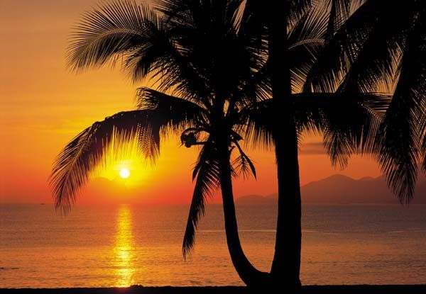 

Фотообои бумажные Komar Beach Sunrise (Восход на пляже + пальмы) 254х184 см 4 сегмента (4-255)