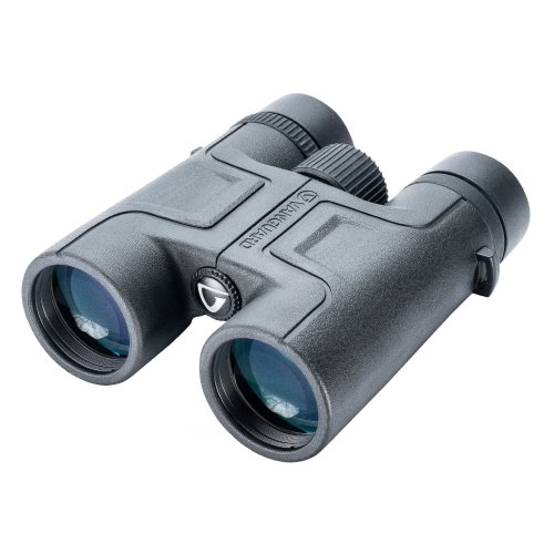 

Бинокль Vanguard Vesta 10x42 WP (DAS301010) (F00242210)