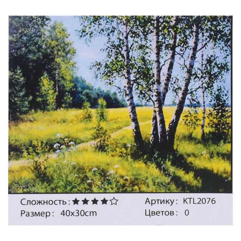 

Картина по номерам KTL 2076 (30) 40х30 см, в коробке