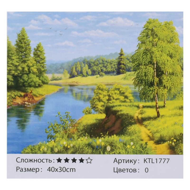 

Картина по номерам KTL 1777 (30) 40х30см, в коробке