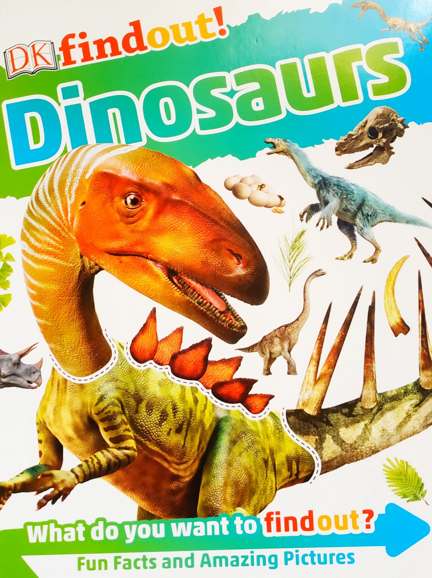 

Детская энциклопедия на английском Динозавры DK findout! Dinosaurs