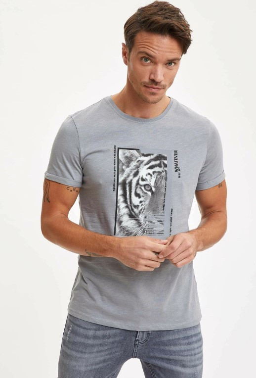 

Футболка Defacto с тигром Whatever  Серая (DeF T-shirt -7004-3, Футболка Defacto с тигром Whatever XL Серая (DeF T-shirt -7004-3)