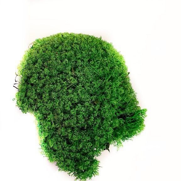 

Мох стабилизированный Green Ecco Moss Ягель Украинский Зеленый 500 гр.