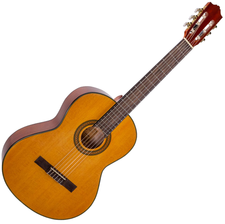 

Гитара классическая Alfabeto SAPELE CS39G + bag (17-2-40-3)