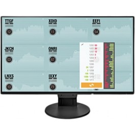 

Монитор Eizo EV2451-BK (EV2451-BK)
