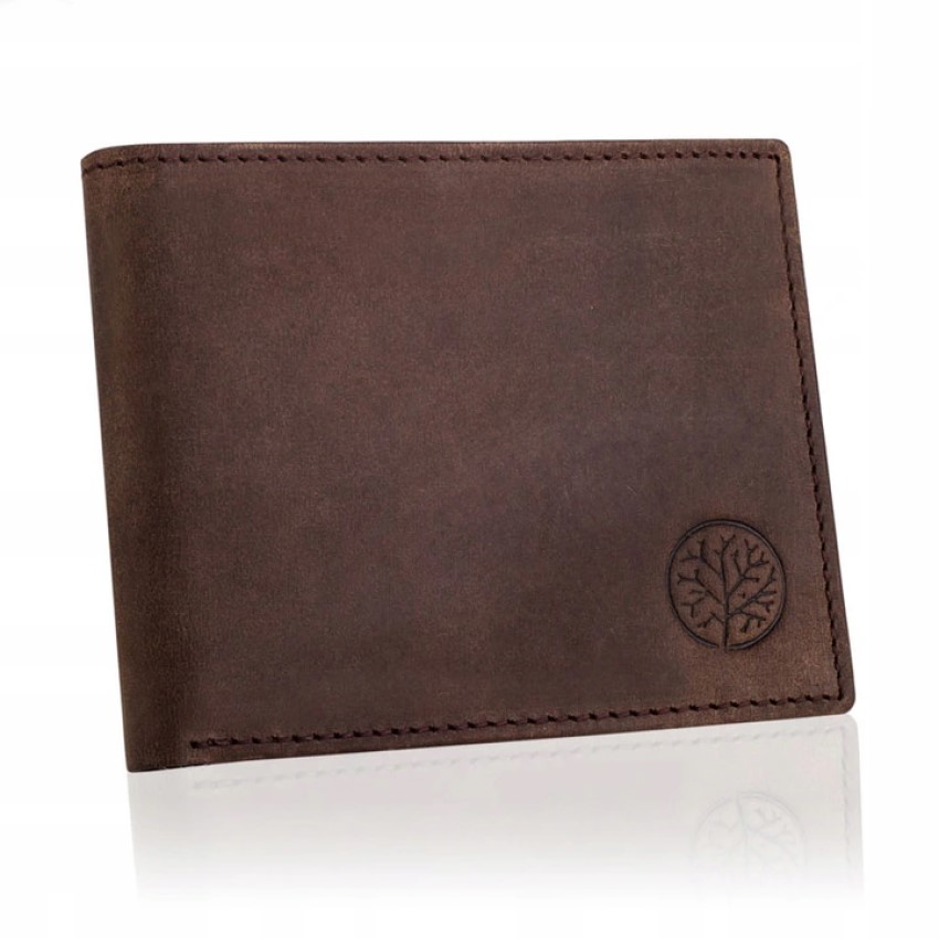 

Кошелёк кожаный мужской Betlewski с защитой RFID 9,4 х 11,5 х 1,5 см (BPM-HT-66) коричневый