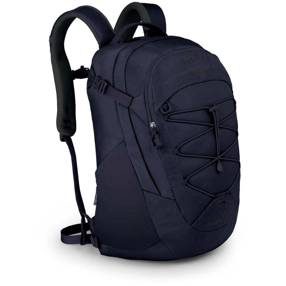 

Рюкзак Osprey Questa Фиолетовый