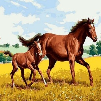 

Картина по номерам Paintboy Два коня в поле, размер 40*50 см