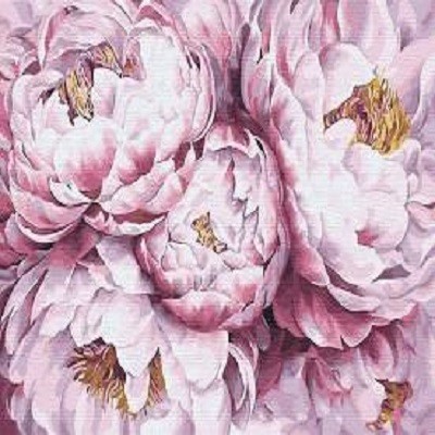

Картина по номерам Paintboy Пионы, 40*50 см