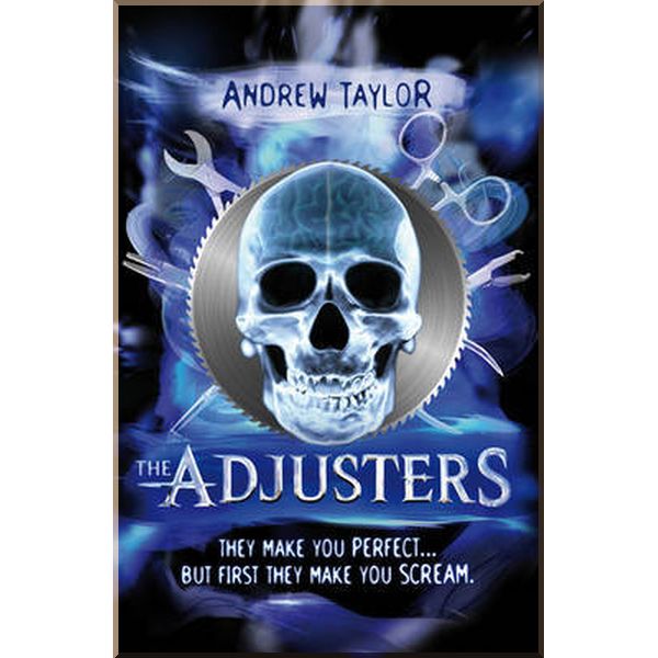 

Usborne The Adjusters. Andrew Taylor. ISBN:9781409540533