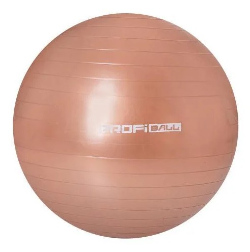 

Мяч для фитнеса фитбол Profit ball диаметр 65 см. Терракотовый. M 0276