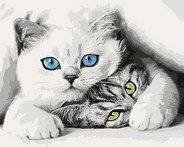 

Картина по номерам Животные, птицы "Котята" 40*50см KHO4098