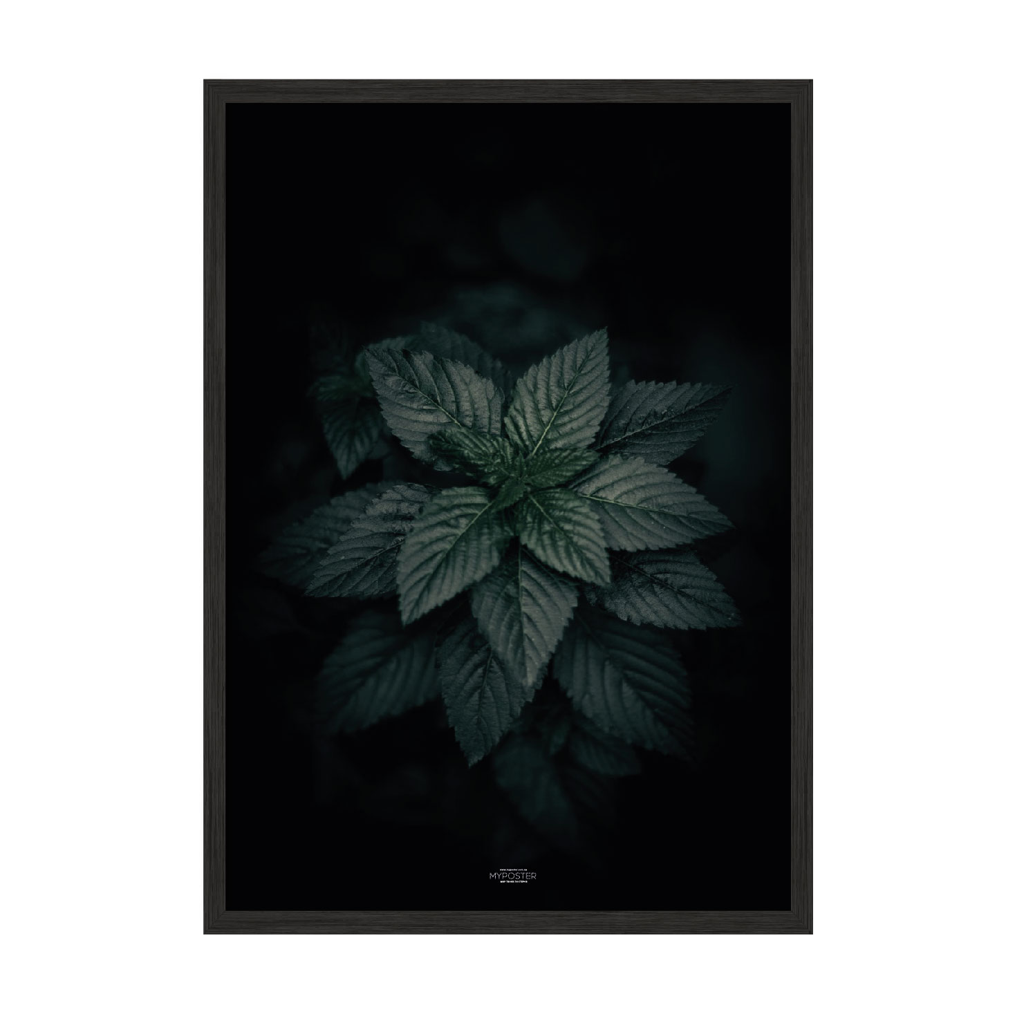 

Постер "Dark Green" с антибликовым стеклом 29.7 x 42 см в чёрной рамке