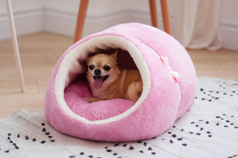 

Домик для Кота или Собаки Haustier Marshmallow S - 47x40x28см (H2-1-042)