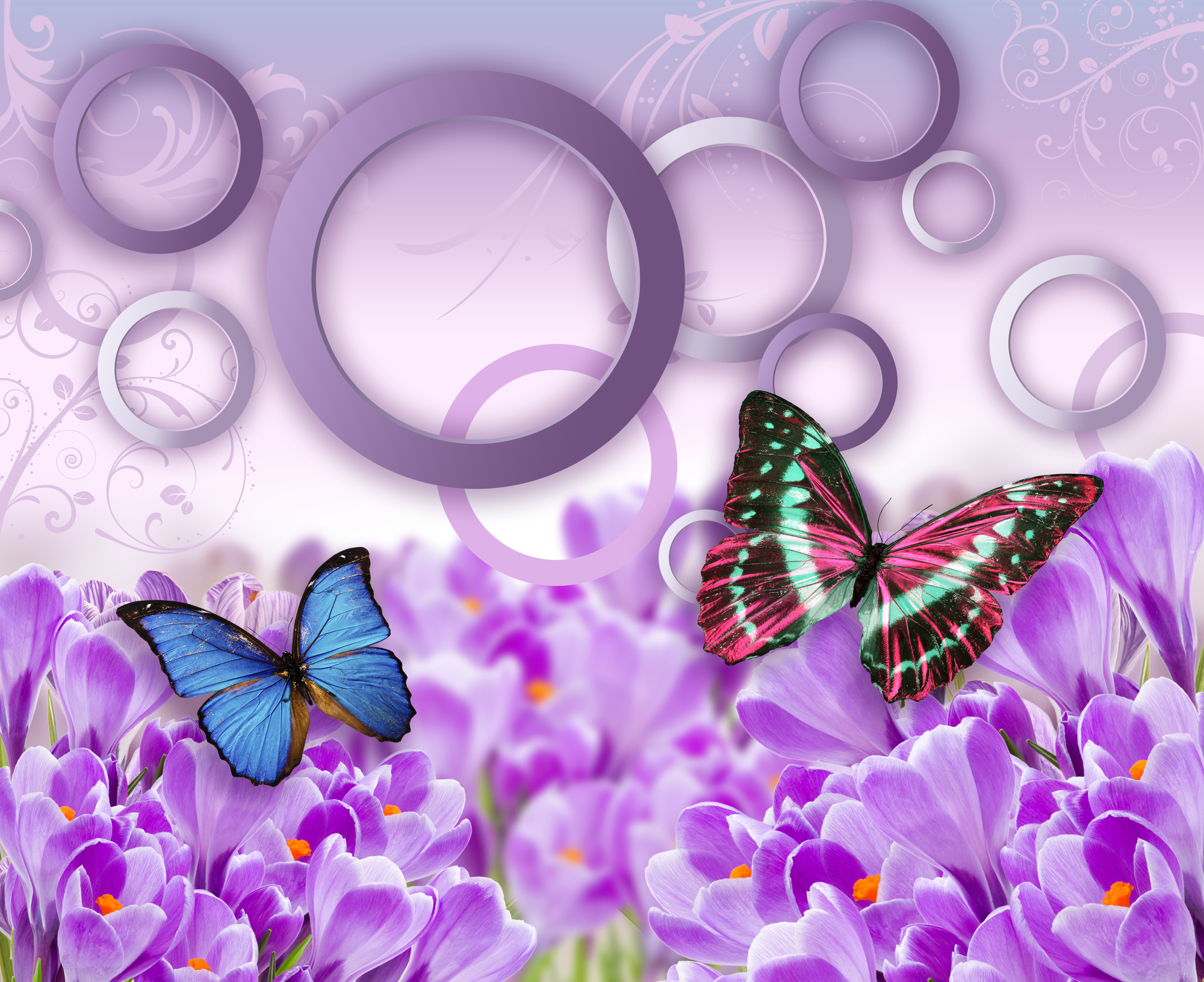 

Фотообои 3D '3D бабочки' (3192) , Песок