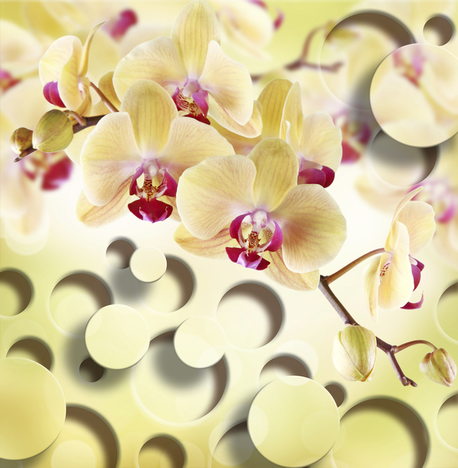 

Фотообои 3D '3d орхидеи' (2541) , Фреска