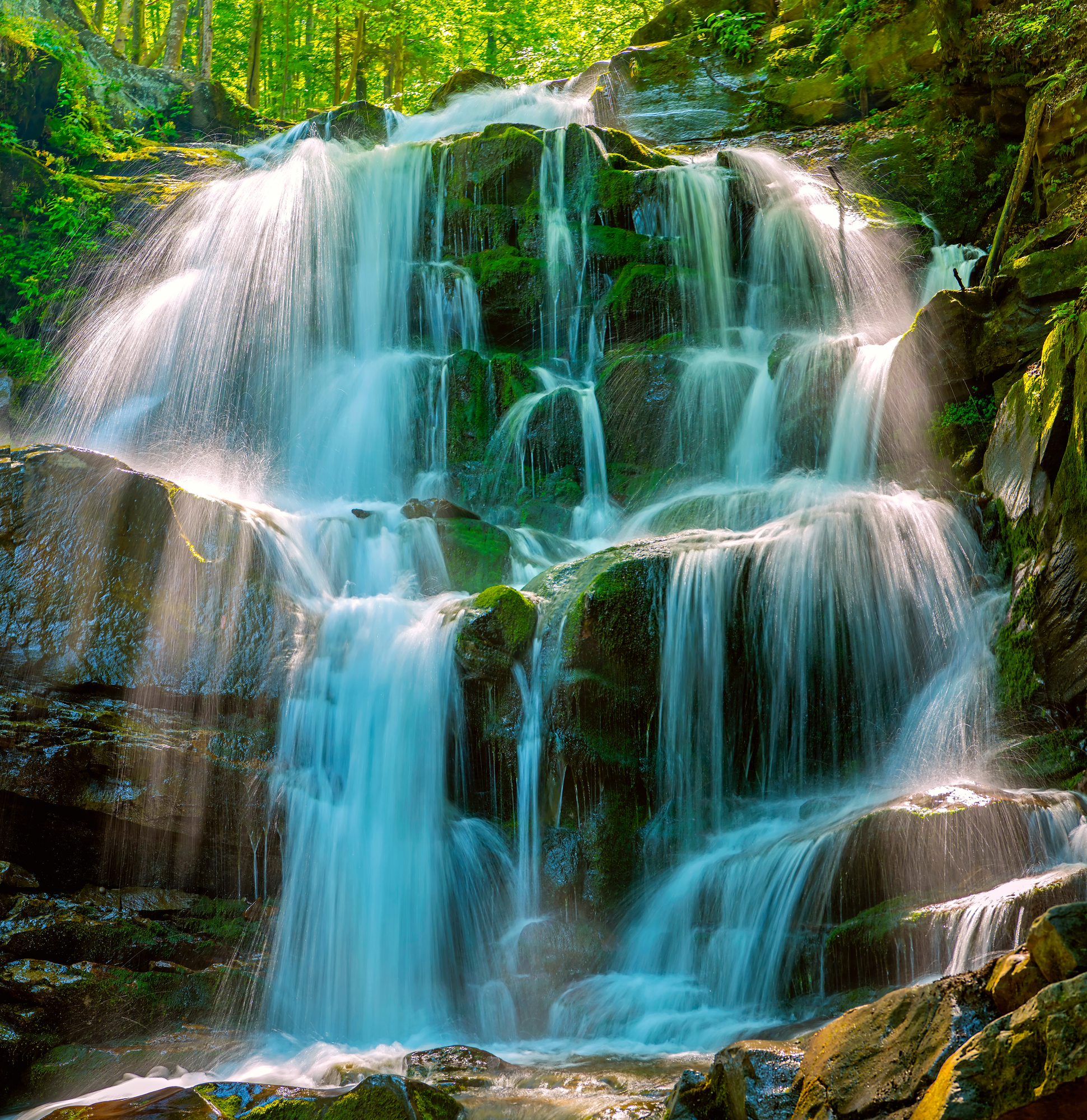 

Фотообои Природа 'Красивый водопад' (3695) , Иней