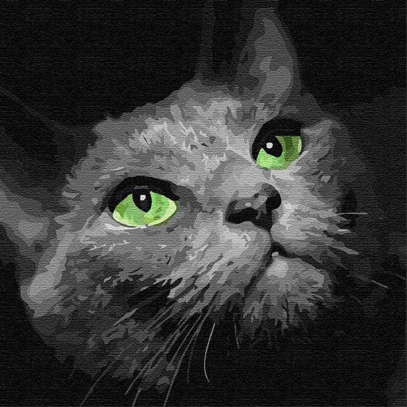 

Картина для рисования по номерам Идейка Хищный взгляд 3 30x30 см (в обложке) (КНО4163)