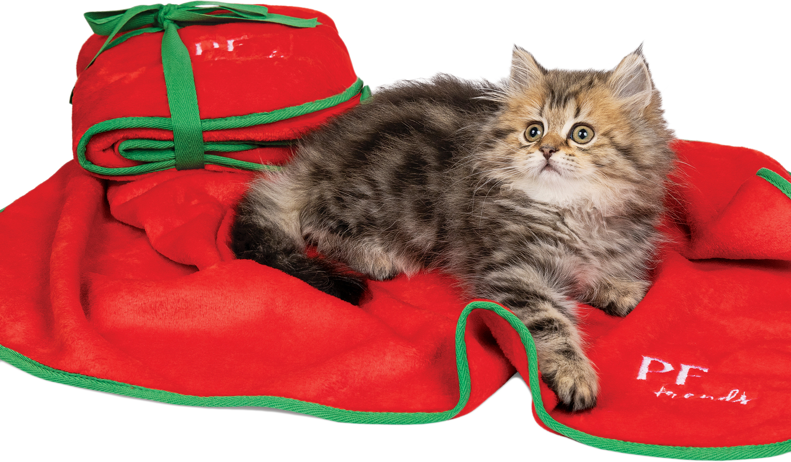 

Плед для собак и кошек Pet Fashion Сhristmas Bliss 1 77х60 см Красный с зеленым (4823082419548)