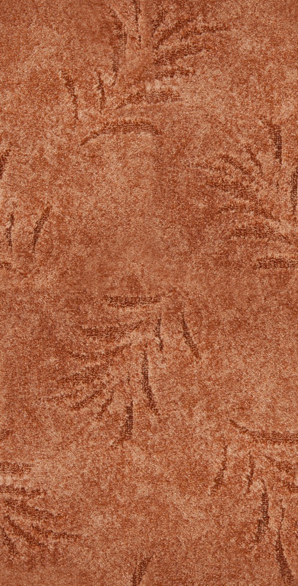 

Ковер Domo FERN FERN 881 5x1 коричневый
