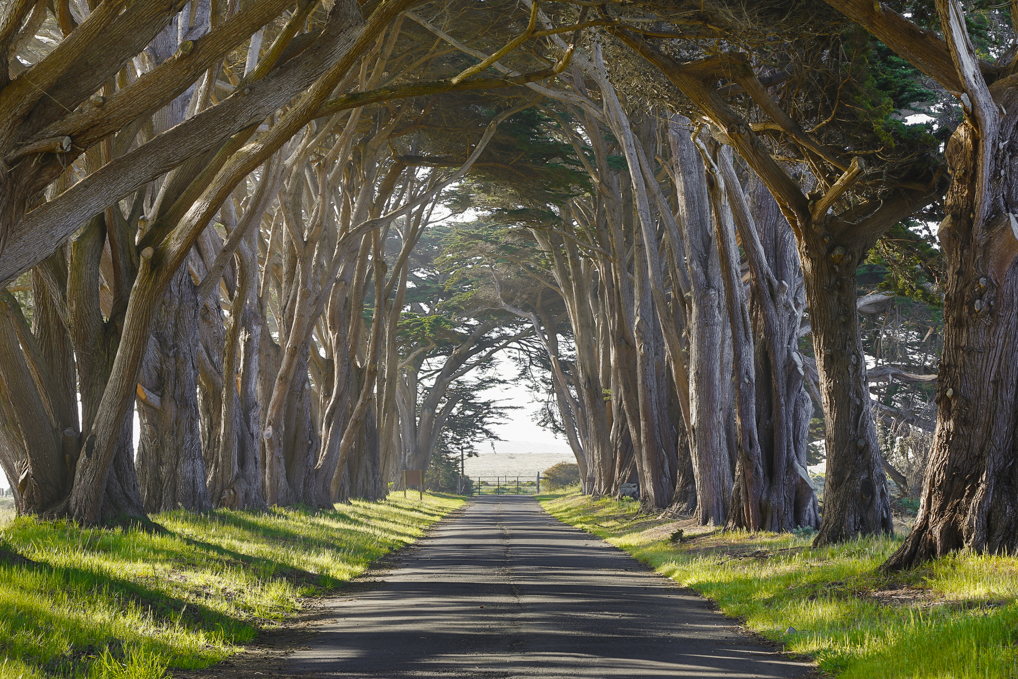 

Фотообои Расширяющие 'Дорога' (4505) , Песок