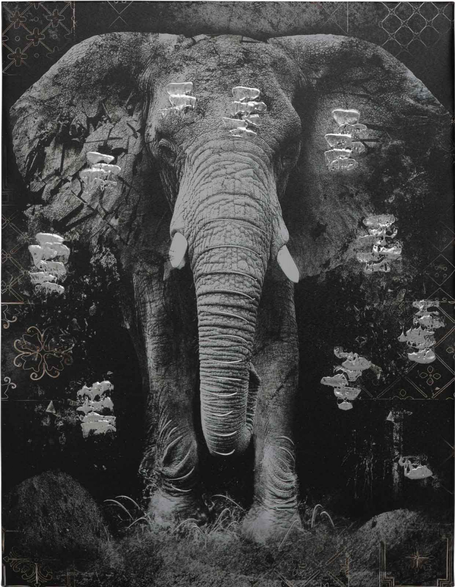 

Картина Arhome Elephant Black/Grey 75х100 cm CT127 75X100