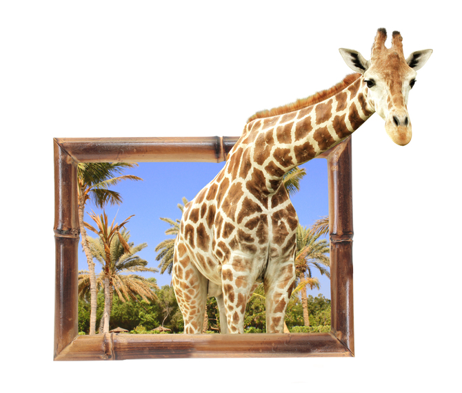 

Фотообои 3D '3d жираф' (2590) , Штукатурка