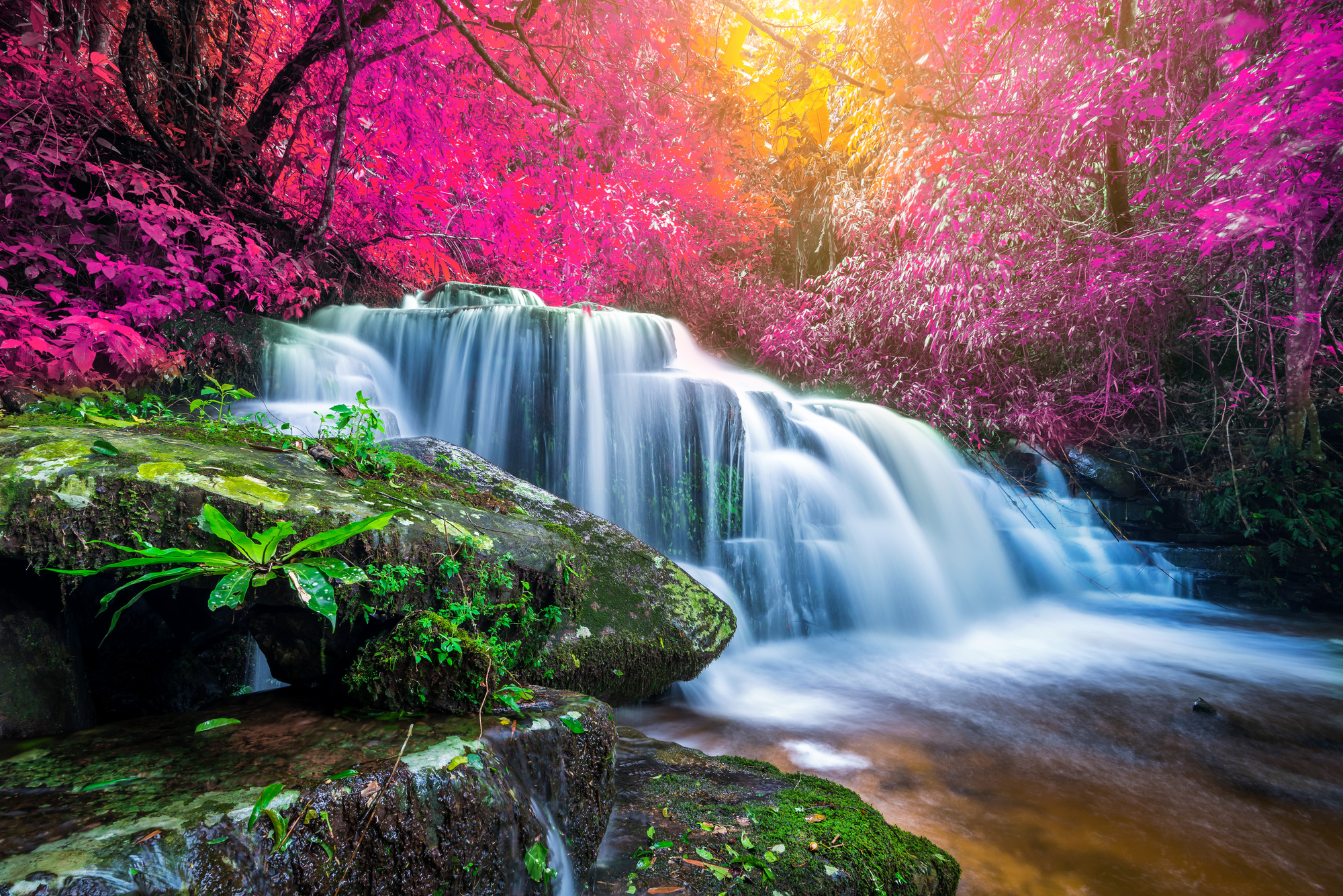 

Фотообои Природа 'Красивый водопад' (3645) , Иней