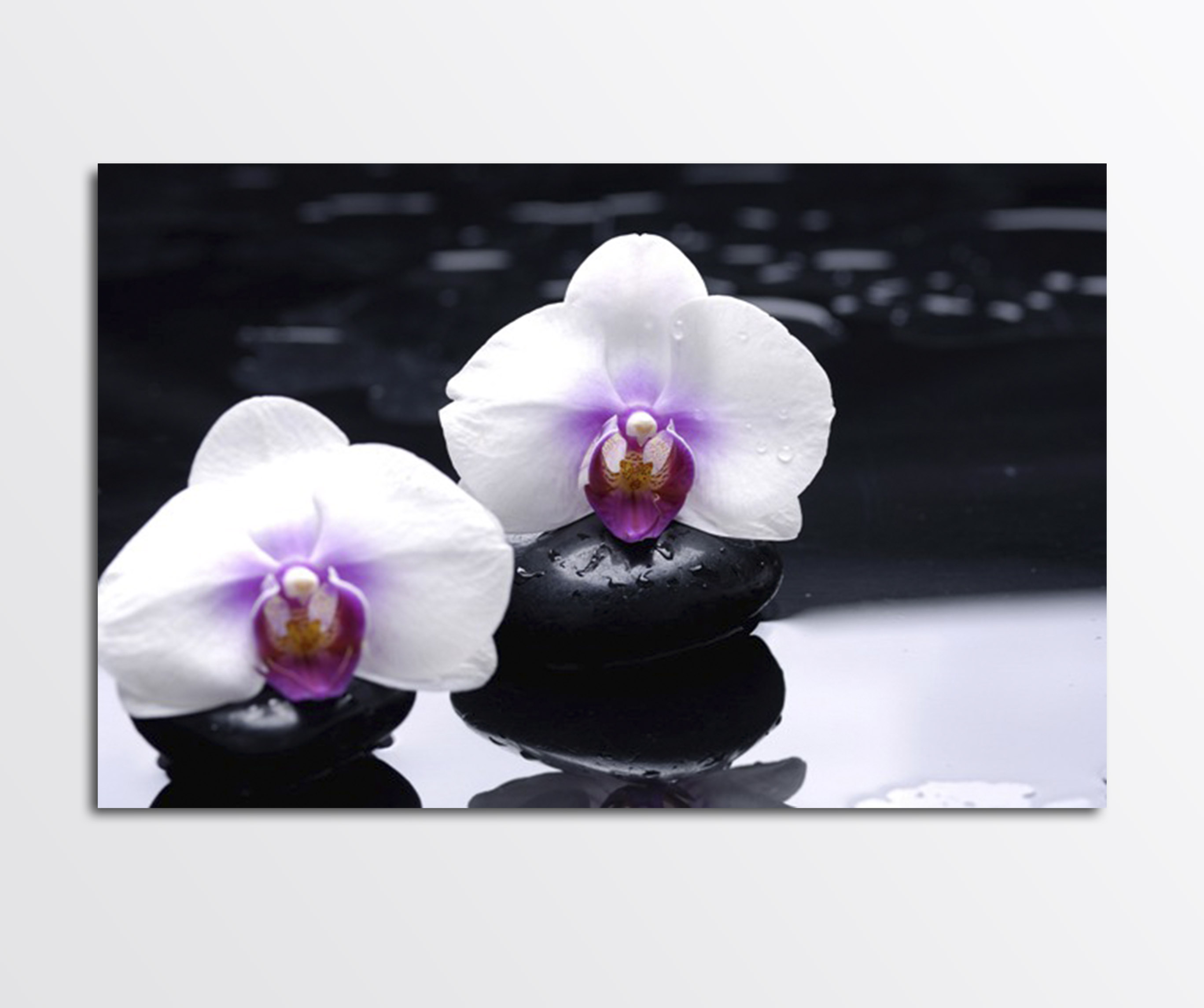 

Панно БЦ-стіл Орхідея FP-1945 (120 x 80)