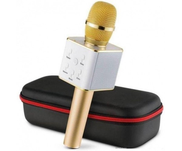 

Микрофон Караоке DM Q7 (Футляр) Золотой