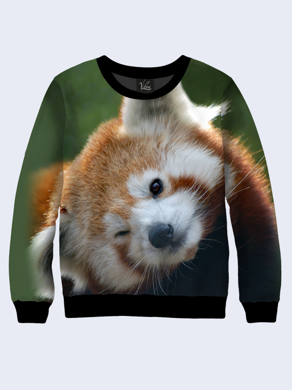 

Мужской свитшот Vilno с фотопринтом Енотовидная панда  (vl-2882, Мужской свитшот Vilno с фотопринтом Енотовидная панда M (vl-2882)