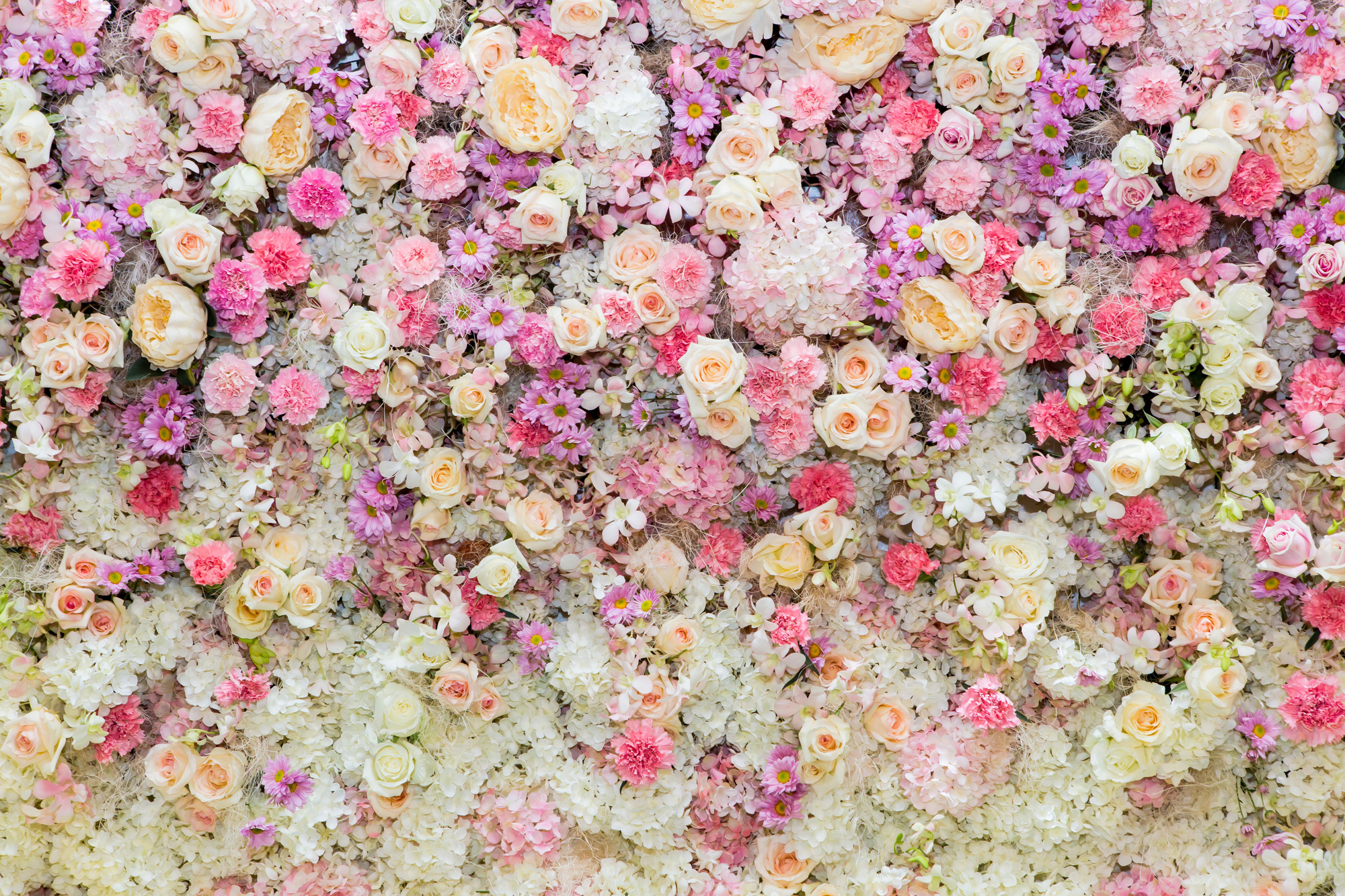 

Фотообои Цветы 'Цветочная стена' (3778) , Холст