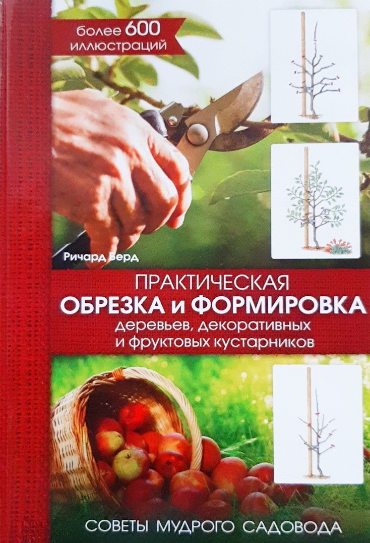 

Практическая обрезка и формировка деревьев, декоративных и фруктовых кустарников. Советы мудрого садовода