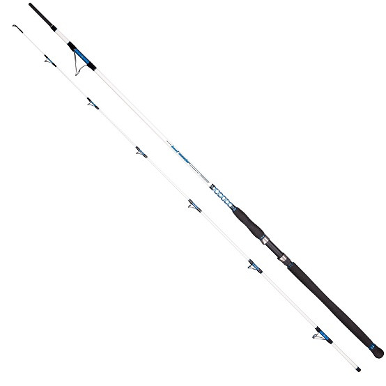 

Спиннинг Dragon Boat Master Boat 50 2.20 m 50 lbs (CHC-24-78-220)