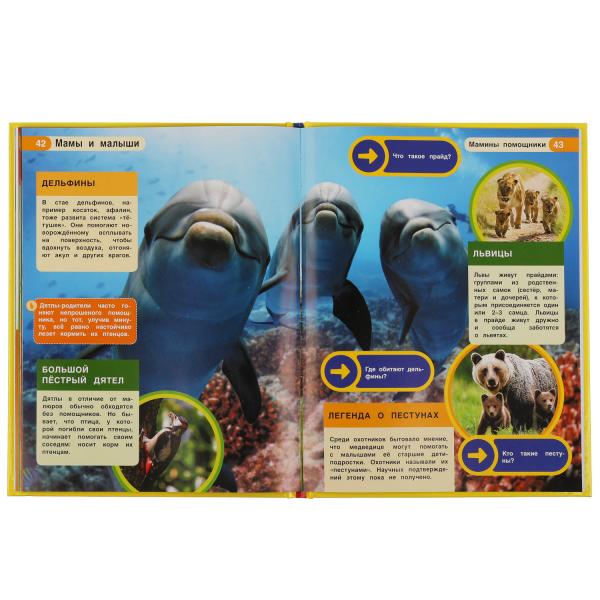 

Мамы и малыши. Энциклопедия малыша (18392272)