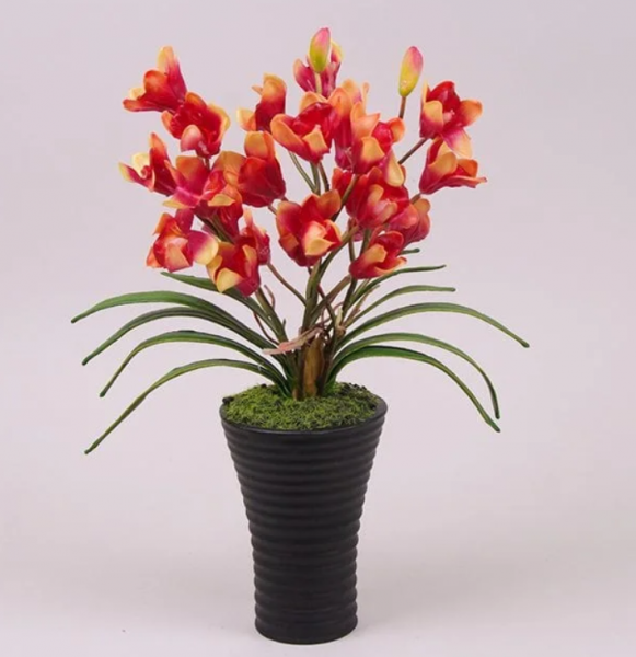 

Декорация цимбидиум красная Flora 36 см 7454